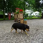Bauernhof Le Oche Selvatiche