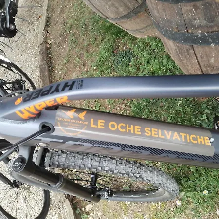 Le Oche Selvatiche Lauzacco