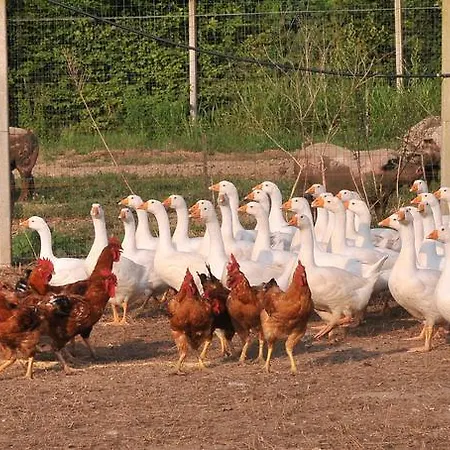 Alloggio per agriturismo Le Oche Selvatiche *