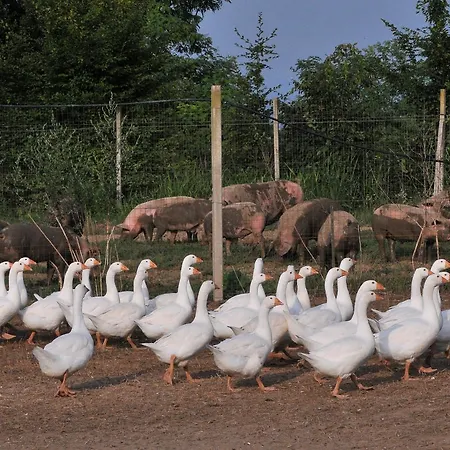 Alloggio per agriturismo Le Oche Selvatiche *