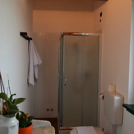 Le Oche Selvatiche * Lauzacco