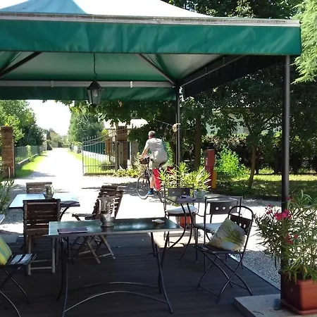 Le Oche Selvatiche Κατάλυμα σε φάρμα Lauzacco